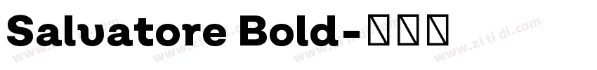 Salvatore Bold字体转换